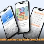 LinkedIn Launches Crazy Puzzle Games